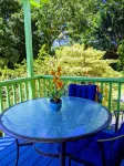 Tropical Studio Apartment!