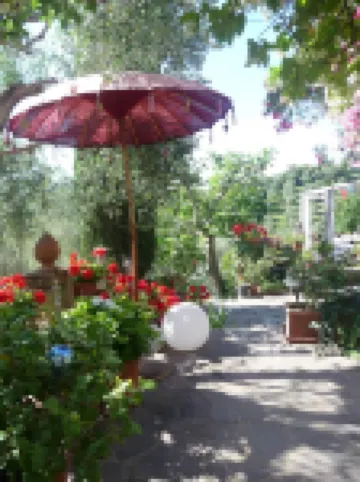 Lovingly Renovated Country House in the Olive Grove with Large Panoramic Pool, Air Conditioning