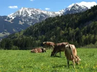 Beautiful 65 sqm apartment Hotels in Ofterschwang