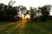 Quiet country home on a homestead farm