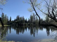 Mountain Cottage with creek and accessible trail and pond near Yosemite!