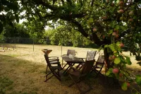 Complete house-family-friendly-rural idyll-ecological. renovated mud house / thatched roof Hotels in Bossdorf