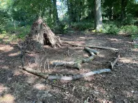 historical house in Heidevillage on the outskirts of forest Hotels in Natendorf