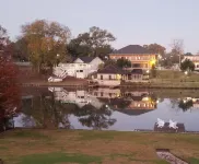 City View on the Cane- The most amazing spot to see it all!