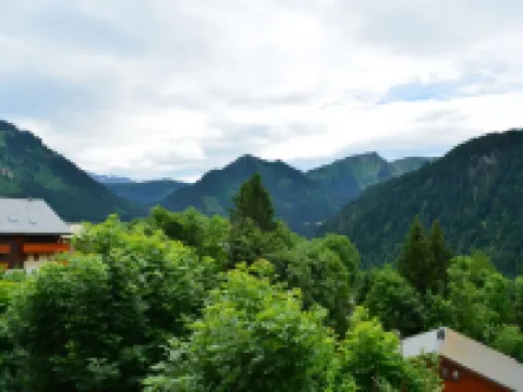 6-person apartment in a traditional chalet - Chatel Reservation 沙泰勒酒店