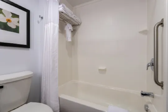 羅阿諾克希爾頓花園飯店