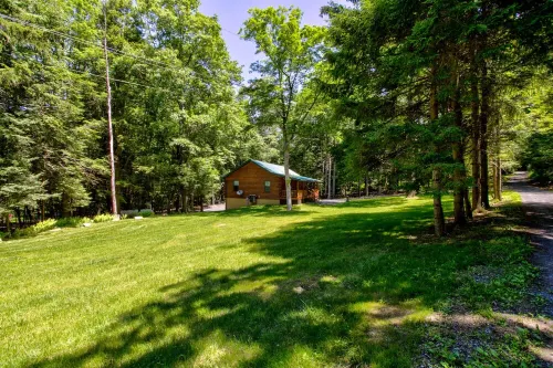 Bear Paw Lodge = Center Of Nature@God's Creation#Campfire+Fun&Trails