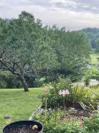 Hillside Retreat located in middle Tennessee