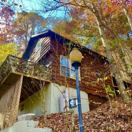 HootOwl Cabin Mountains, Trails and Huge Hot Tub under the Stars!