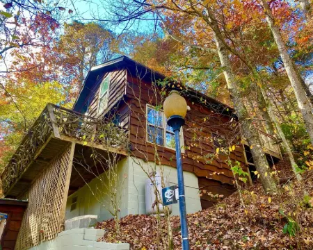 HootOwl Cabin Mountains, Trails and Huge Hot Tub under the Stars! Hotels in Edneyville