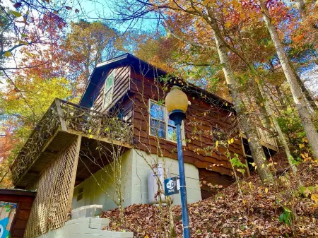 HootOwl Cabin Mountains, Trails and Huge Hot Tub under the Stars!