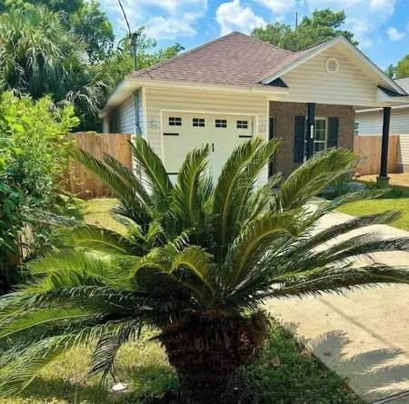 Palm House in Pensacola