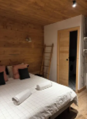 Appartement Emplacement Premium 阿爾利河畔普拉茲酒店