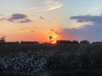 Sunset Log Cabin