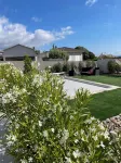 Modern Villa with Private Pool 10 Minutes from the Sea