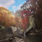 Tiny House~Creeks & River Nearby