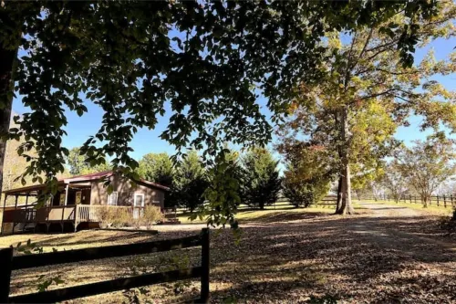 Cozy Secluded Cabin on 50 Acre Horse Ranch