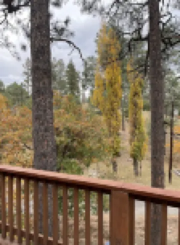 JD CABIN!!