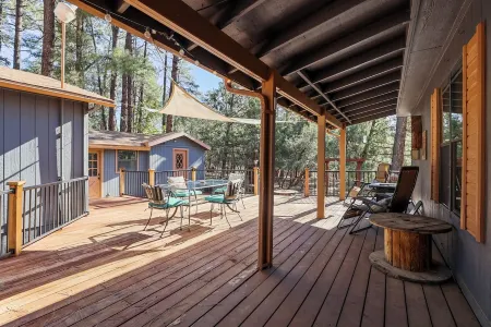 Surrounded by Pine Trees / Wildlife / Peaceful / Nearby Hikes