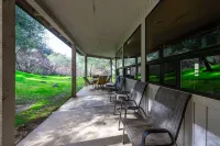 Next to Sequoia National Park Entrance and Pet Friendly!