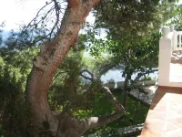 Rent apartment with pool in natural setting