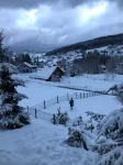 CHALET NEAR THE TRACKS AND LAKE GERARDMER