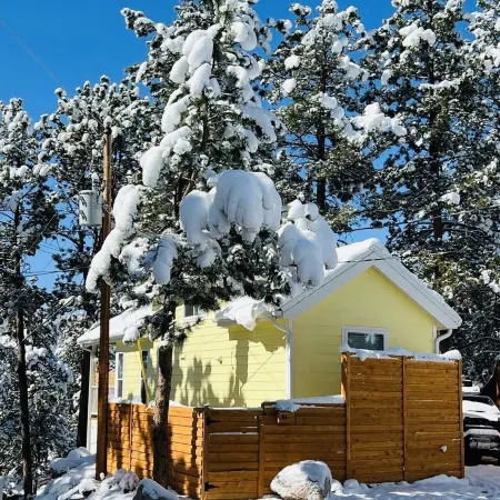 Sunny Treetop Tiny Home! Beautiful Pikes Peak View!