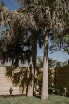 VILLA TWO -Stunning Villa - Walk to Beach - Modern and Clean!