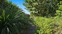 I Minute Walk to Beach. Rated #1 Best Location in Florida /Pets Welcome with Fee