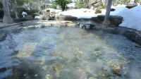 Iwatani Onsen Hotel Kirakuya - con terme