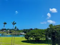 Hilo Studio Retreat with Gorgeous Park View, AC, WiFi, Pool