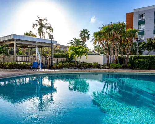 Hilton Tampa Airport Westshore Hotels in Tampa