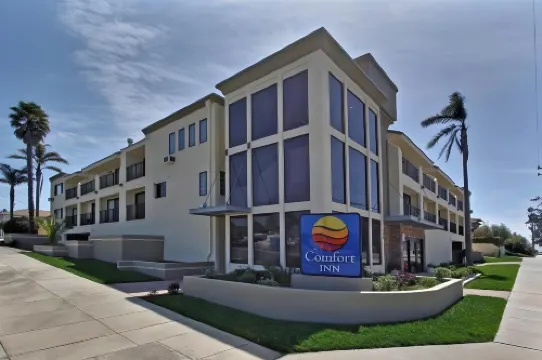 Hotel Avisa Downtown