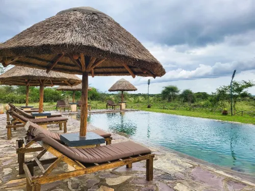 Africa Safari Serengeti Ikoma Camping - Wifi