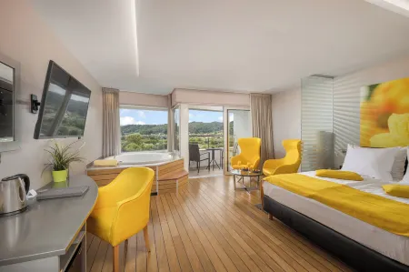 Wellness Hotel Villa Magdalena Отели в г. Шкарићево