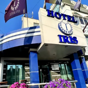 Iris Hotel Отели рядом с достопримечательностью «Триумфальная Арка»