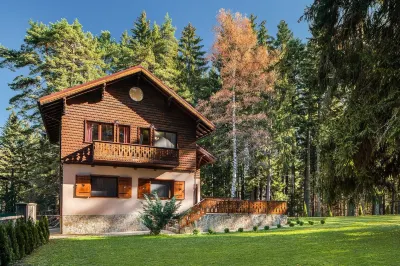 Villa Borovets Mountain & Luxury Hotels near Lift Yastrebets