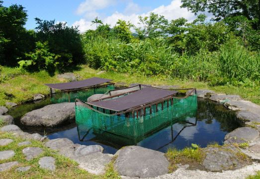 야치 온센 온천