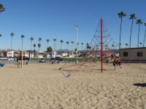 Peach Blossom Across from the Beach
