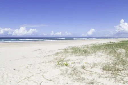 Clothiers Creek Farm