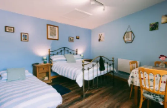 1 Bed Sleeps 3 Free Parking Pets Allowed Hotels in 