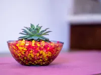 Hotel Boutique Mardeka Hotels in Orizaba
