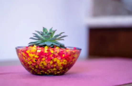 호텔 부티크 마르데카