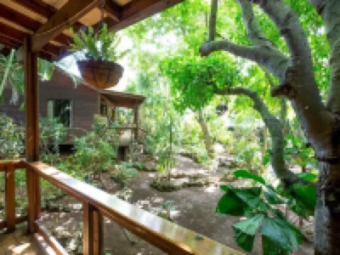 Mango Inn Resort Hoteles en Utila