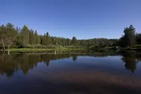 Lodge at the Lake near Pinecrest/Dodge Ridge WiFi