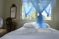 Welcome to Putuo Ecolodge, Hidden Germ of Solomon