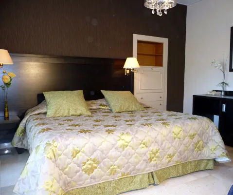 Hotel Diana Hotels in Vence