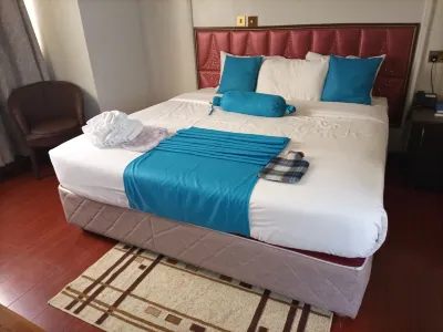 Sunshine Hotel Hotels in 