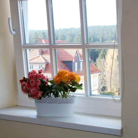 Regiohotel am Brocken Schierke