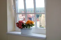 Regiohotel am Brocken Schierke - Mountain view